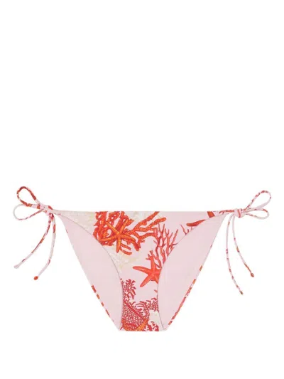 Versace Swim Briefs Corals Print Clothing In Pink & Purple
