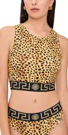 Versace Topeka Jersey Bi-stretch Cotton Cheetah Allover Print Tank Top Neutral In Animal Print