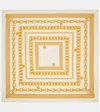 Versace Large Treasure Silk Scarf In Multicolor