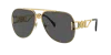 Versace Unisex Sunglasses Ve2255 In Dark Grey