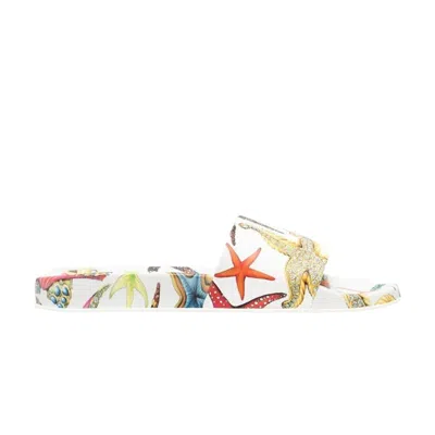 Pre-owned Versace Trésor De La Mer Slides 'white' | Men's Size 41