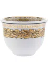 Versace Virtus Gala Set-of-six Cups In White/beige