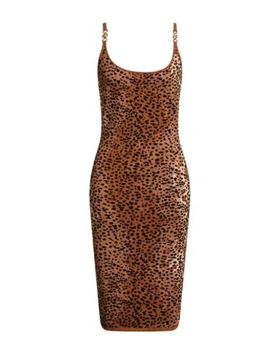 Versace Woman Midi Dress Camel Size 8 Cotton, Wool, Viscose, Polyamide, Elastane In Brown