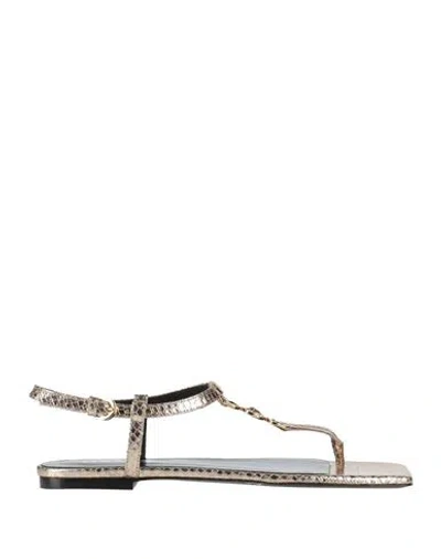 Versace Woman Thong Sandal Platinum Size 8 Calfskin In Grey