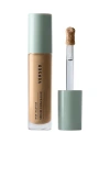 Versed Skin Solution Serum Concealer In Transparent