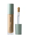 Versed Skin Solution Serum Concealer In Transparent