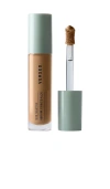 Versed Skin Solution Serum Concealer In Transparent