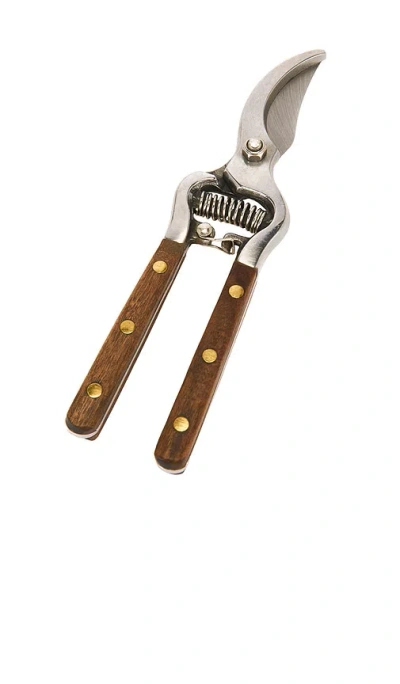 Verve Culture Thai Kitchen & Garden Shears In Brown
