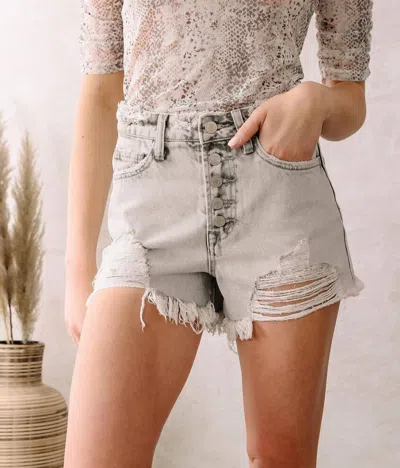 Vervet By Flying Monkey The Diana Shorts In Girlfriend