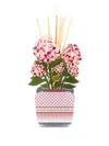 Vesta Aurora Floral Fragrance Diffuser