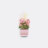 Vesta Candlelight And Scents Pink Uni