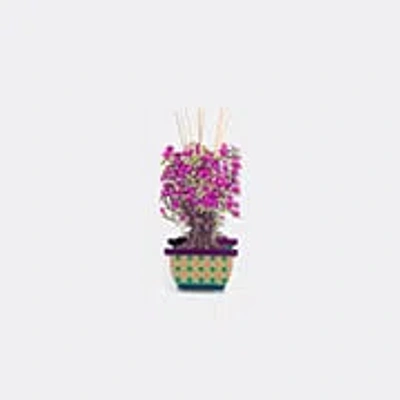 Vesta Candlelight And Scents Violet Uni In Multi