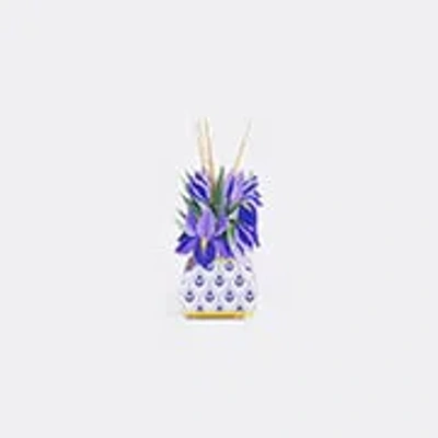 Vesta Candlelight And Scents Violet Uni In Multi