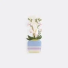 Vesta Candlelight And Scents White Uni