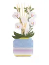 Vesta Large Livinia Diffuser