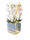 VESTA SMALL LIVINIA DIFFUSER