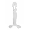 Vestiaire D'un Oiseau Libre Women's White Hooded Train Gown In White