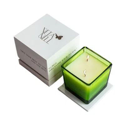 Veta Nell Green Chartreuse No. 5 Candle - Gift Packaging + Coco Wax + Essential Oils - 16oz