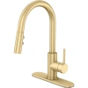 Vetta Pull Down Kitchen Faucet In Gold