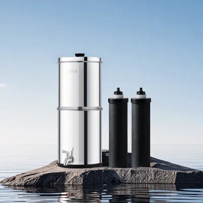 Vevor 2.25g Gravity-fed Water Filter Countertop System Stainless Steel 2 Filters