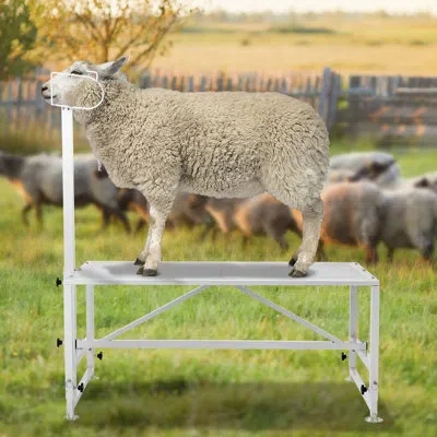 Vevor Adjustable Grooming Tub In White