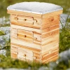 Vevor Bee Hive 30 Frame Bee Hives Starter Kit