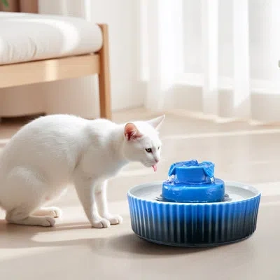 Vevor Ceramic Cat Water Fountain 2.1l/71oz Cupcake Pet Fountain For Cats & Dogs In Blue