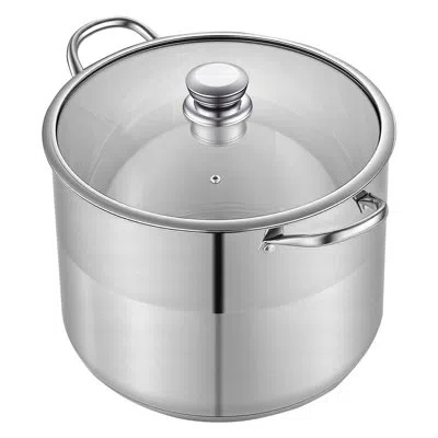 Vevor Stainless Steel Stock Pot, 16-quart Stainless Steel Stockpot With Glass Lid, Pfoa-free, Pfas-free, I In Silver