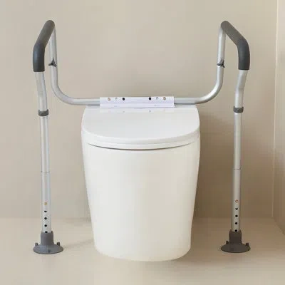 Vevor Toilet Safety Frame