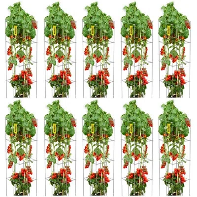 Vevor Tomato Cages, 11.8' X 11.8' X 46.1', 10 Packs Square Plant Support Cages, Green Pvc-coated Steel Tom