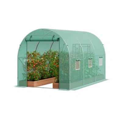 Vevor Walk-in Tunnel Greenhouse Galvanized Frame Pe Cover