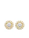 Veynou 14k Yellow Gold Camilla Diamond Stud Earrings In Gold