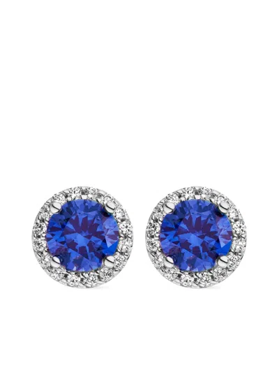 Veynou 14kt White Gold Ava Sapphire Stud Earrings
