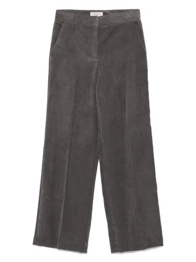 Via Masini 80 Velvet Trousers In Gray