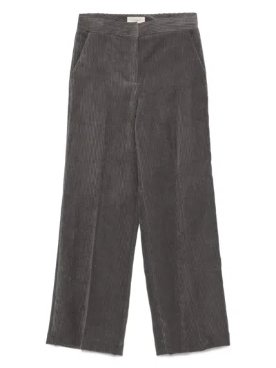Via Masini 80 Velvet Trousers In Gray