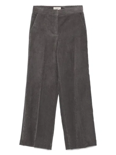 Via Masini 80 Velvet Trousers In Gray