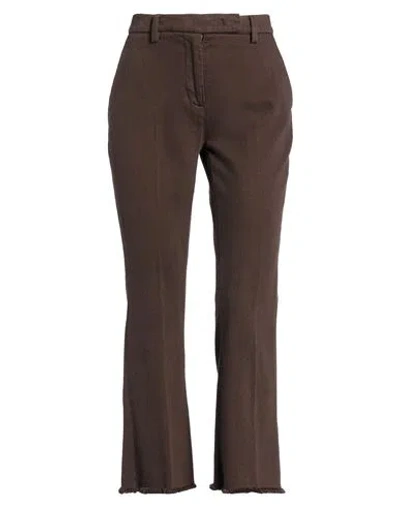 Via Masini 80 Woman Pants Dark Brown Size 2 Cotton, Elastane