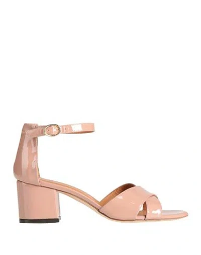 Via Roma 15 Woman Sandals Blush Size 7 Leather In Pink