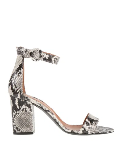 Via Roma 15 Sandals In Light Grey