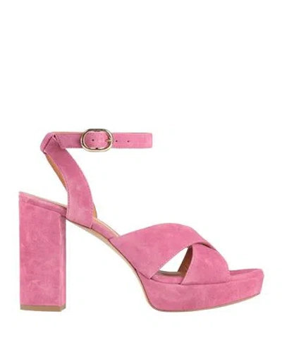 Via Roma 15 Woman Sandals Magenta Size 6 Leather In Multi