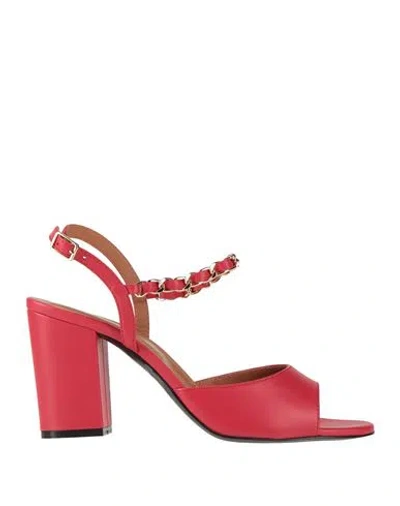 Via Roma 15 Woman Sandals Red Size 8 Leather In Brown