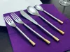Vibhsa 20 Piece Flatware Set