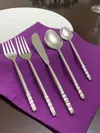 Vibhsa 20 Piece Modern Flatware Set
