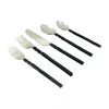 Vibhsa Black 20-pc. Flatware Set In Black