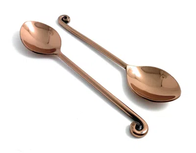 Vibhsa Stainless Steel Copper Teaspoons Set Of 6 In Multi