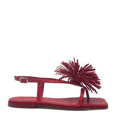 Vic Matie Buckle Flat Sandals In Red