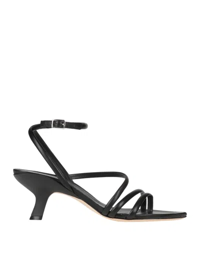 Vic Matie Toe Strap Sandals In Black