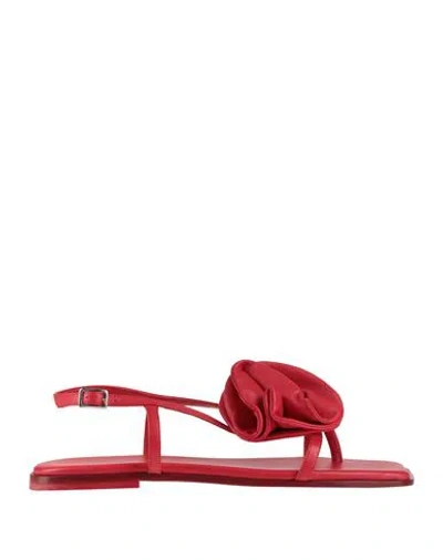 Vic Matie Vic Matiē Woman Thong Sandal Red Size 8 Leather