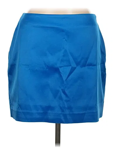Pre-owned Vici Casual Skirt In Blue