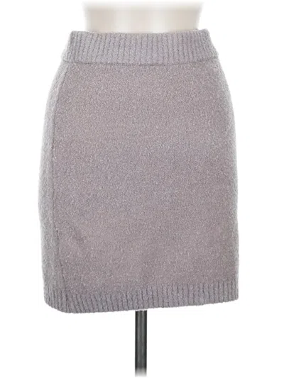Pre-owned Vici Casual Skirt In Gray
